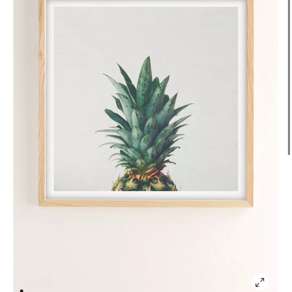 Urban Outfitters Pineapple Print with Wood Frame
